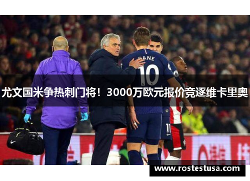 尤文国米争热刺门将！3000万欧元报价竞逐维卡里奥